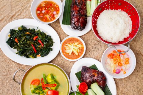 Panduan Lengkap Mengenai Nutrisi dan Penggunaan Obat-obatan Umum yang Aman