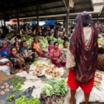 Aktivitas pendidikan dan ekonomi masyarakat Papua Indonesia
