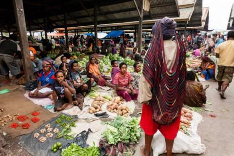 Aktivitas pendidikan dan ekonomi masyarakat Papua Indonesia