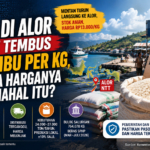 Harga beras di Alor sempat mencapai Rp30 ribu per kilogram saat distribusi terganggu